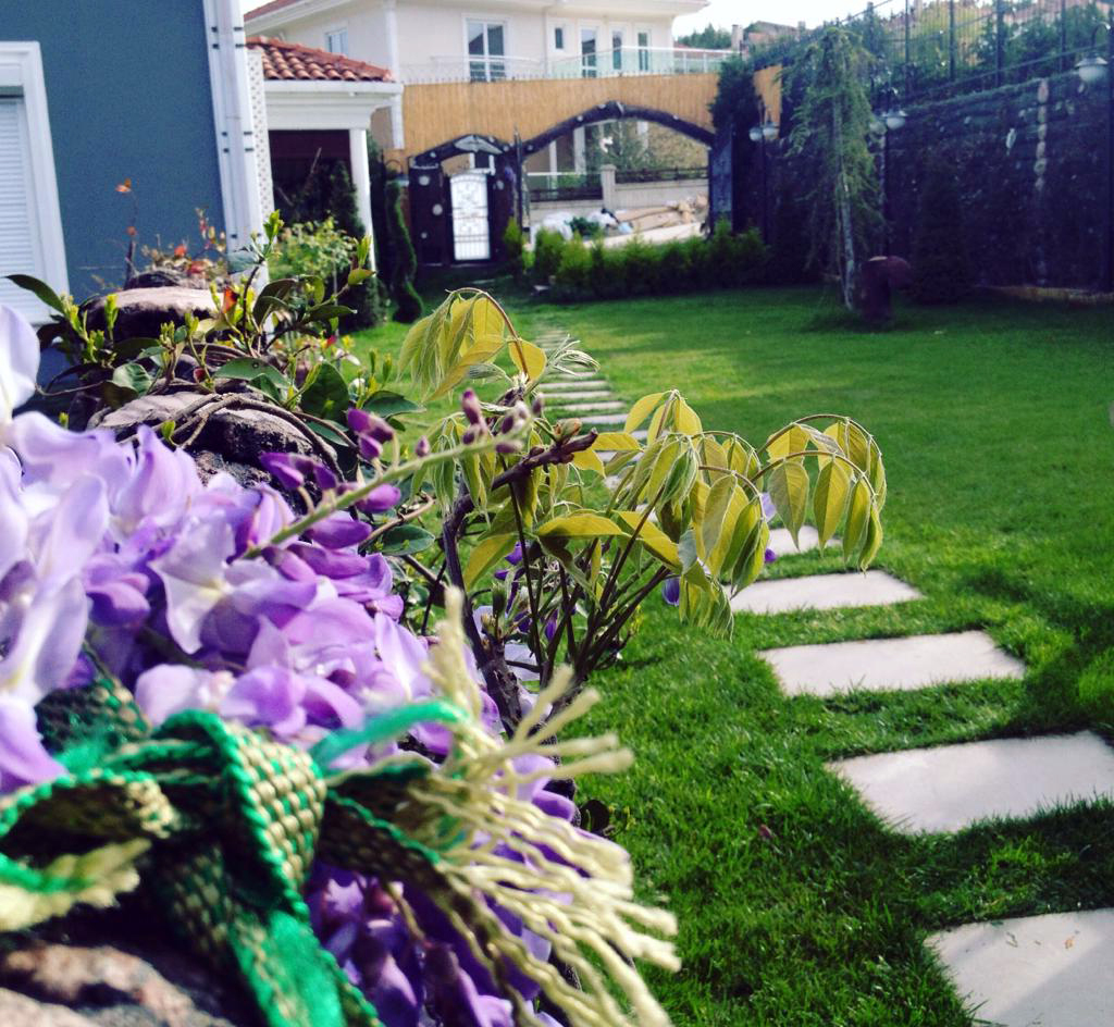 AKKUŞ BOTANİK