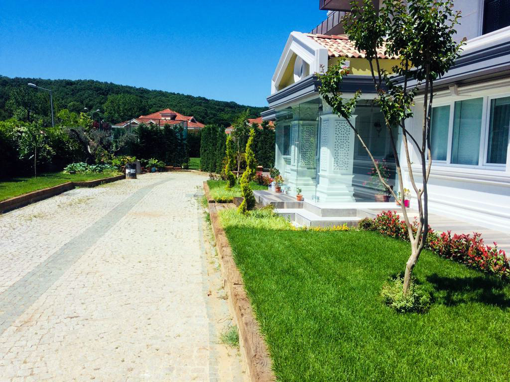 BOTANİK